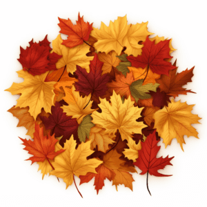 Fall Foliage Gathering of Autumn Leaves